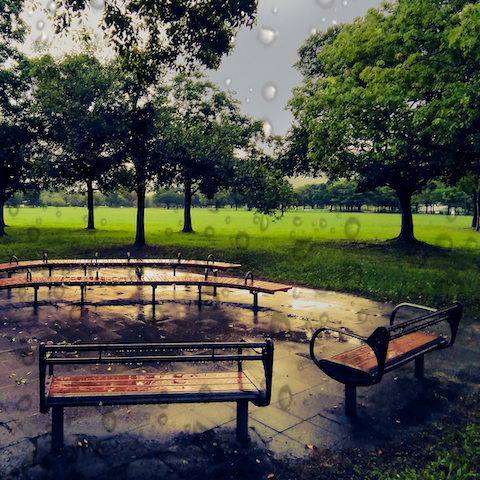 雨に濡れた深北緑地のベンチ