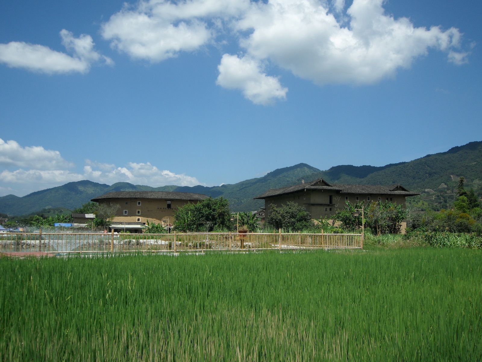 青い空が美しい