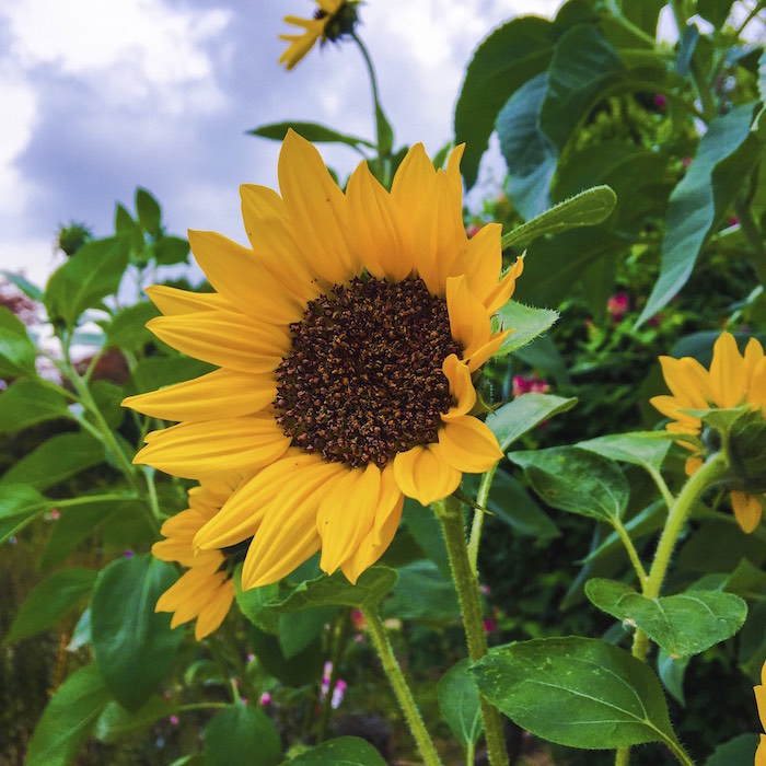 2014年11月12日 今朝ランその2