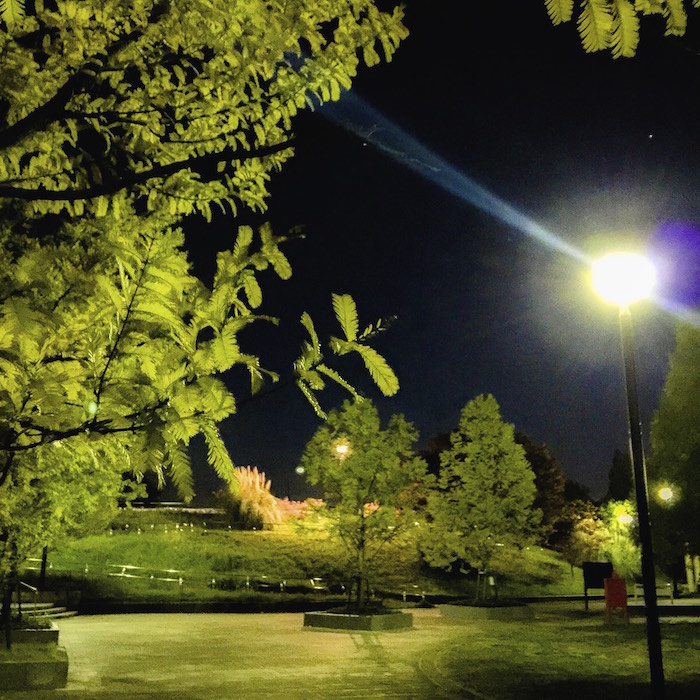 2014年11月13日 今朝ランその3