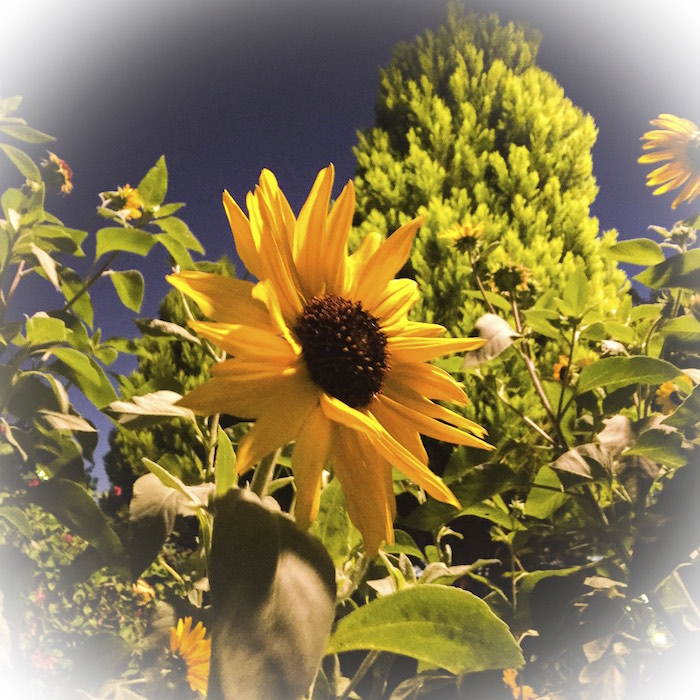 2014年11月13日 今朝ランその4