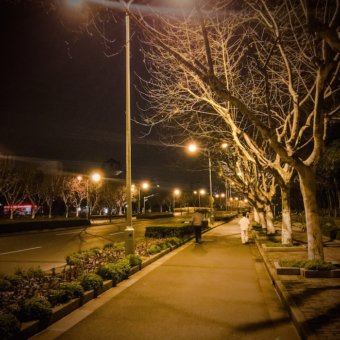 早朝の世紀公園外周路 その2