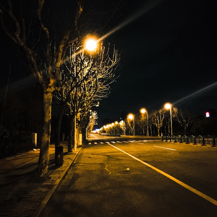 早朝の世紀公園外周路 その4