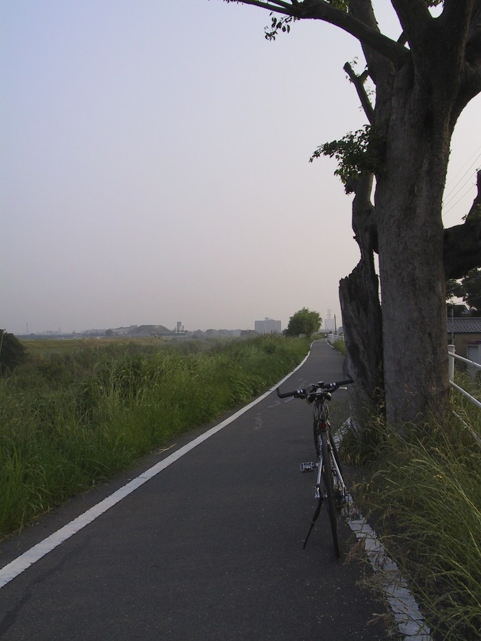 嵐山方面へ向かって撮影