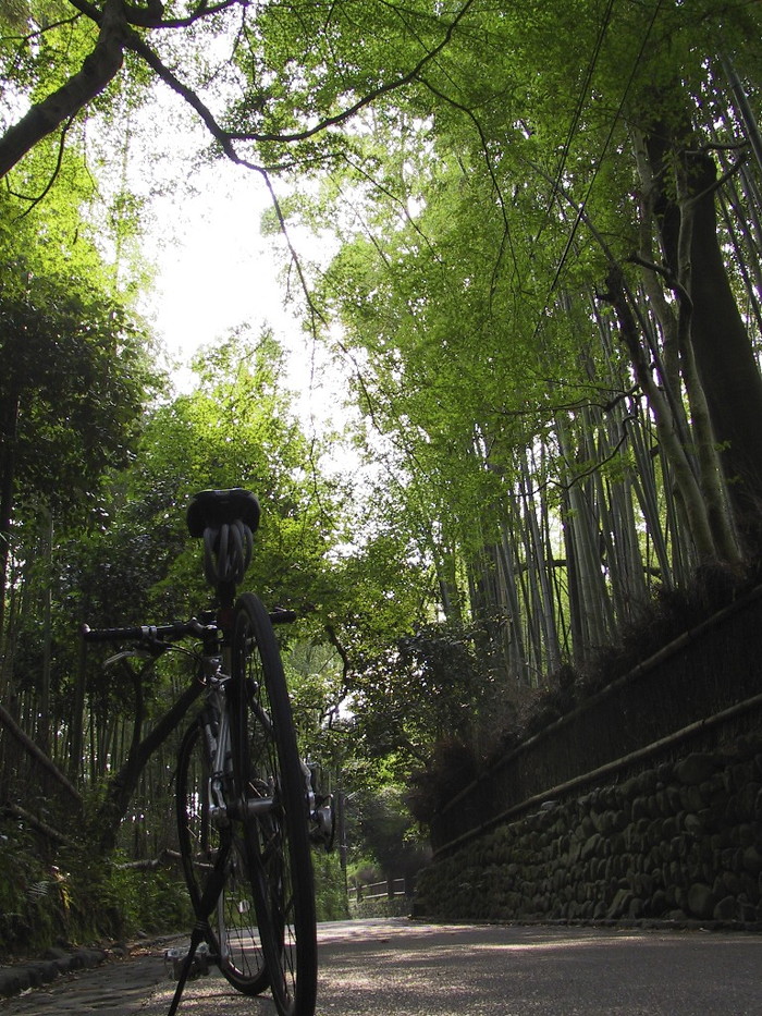 嵯峨野周辺 その1
