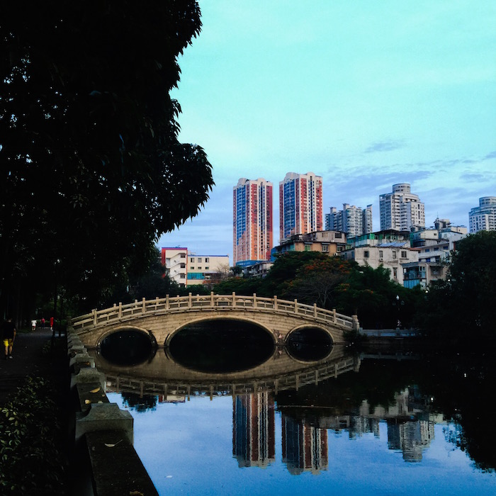 園内 その1 園内 その1