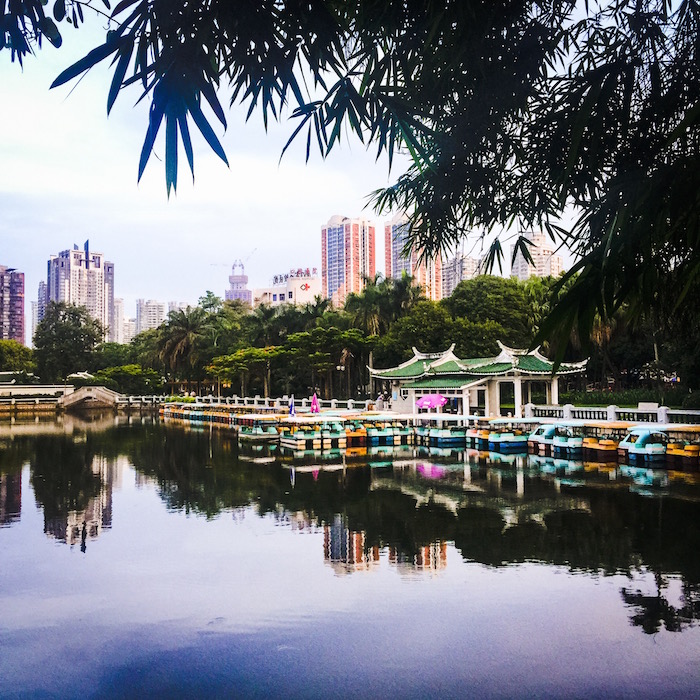 園内 その2 園内 その2