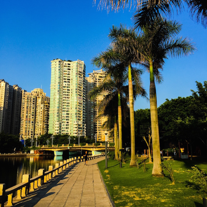 園内の歩道 園内の歩道