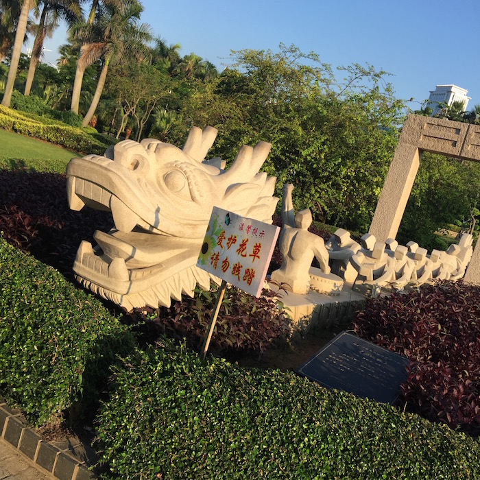 ドラゴンカヌー ドラゴンカヌー