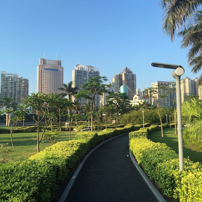 こちらも園内の歩道 こちらも園内の歩道