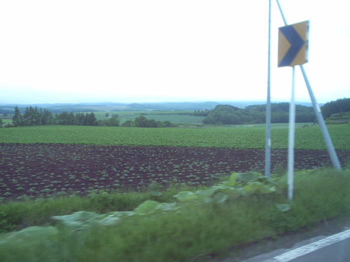 これもバスの社内から撮影 これもバスの社内から撮影