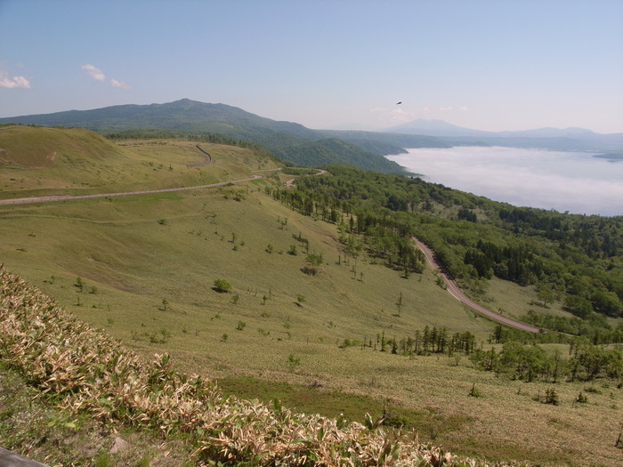 UFOらしき物?が写り込む UFOらしき物?が写り込む