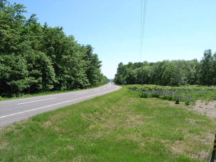 じゃがいも館前の道 じゃがいも館前の道